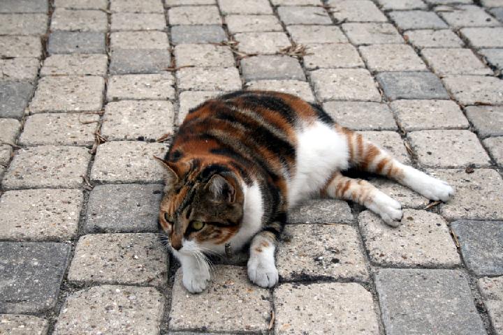 2009-08 Mia 002 .JPG